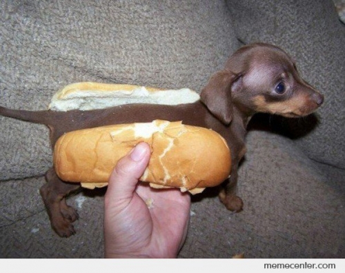 I-Like-Hot-Dogs_c_93660.jpg